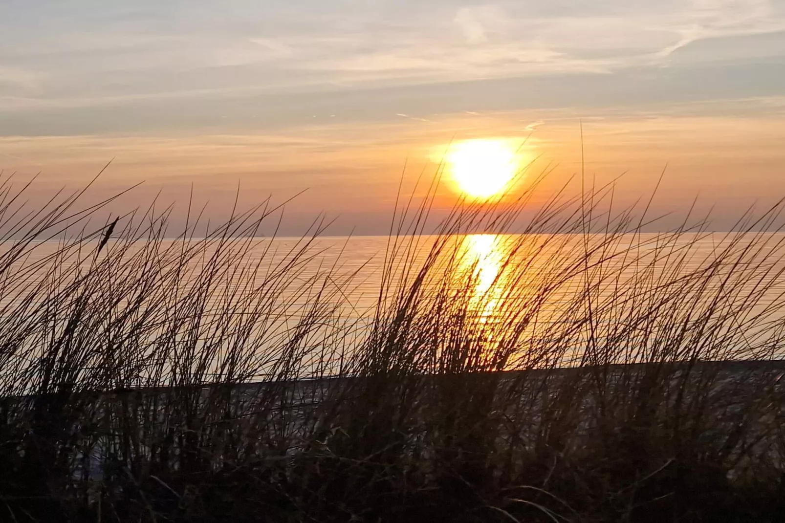 4 Personen vakantie huis in Assens - Waterzicht