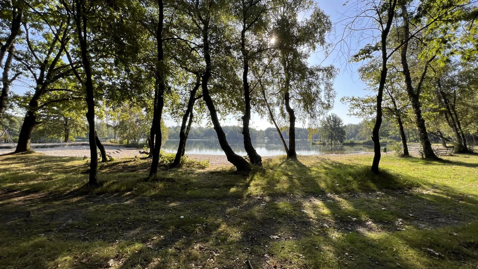 De Lelie-Gebieden zomer 1km