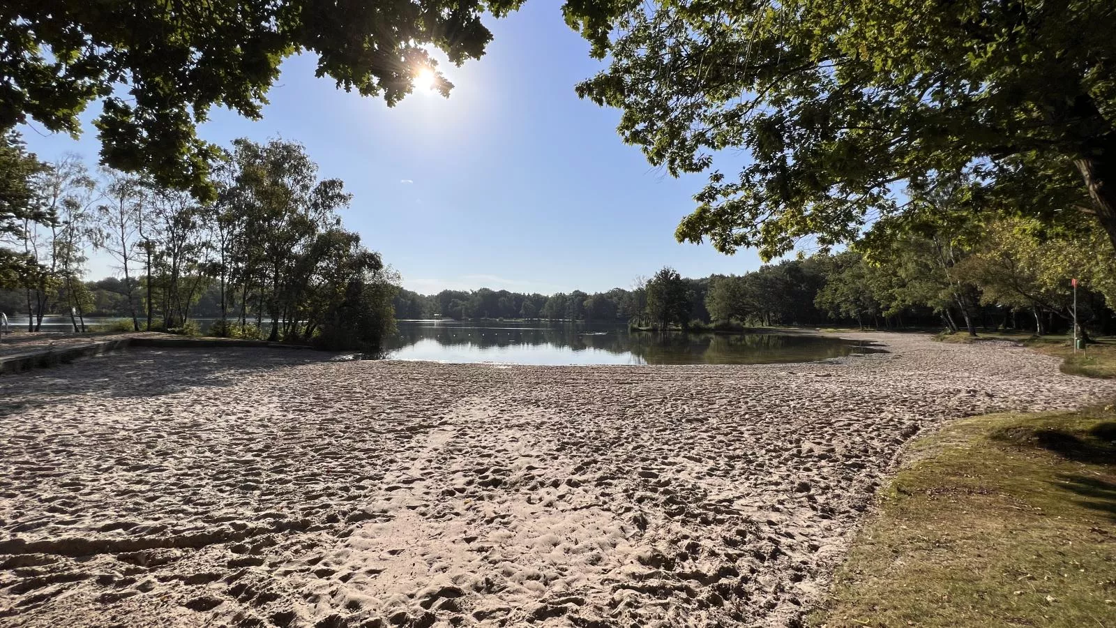 De Lelie-Gebieden zomer 1km