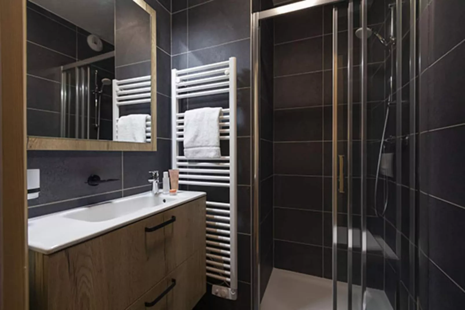 LES DEUX ALPES Neige et Soleil -A38P - Badkamer