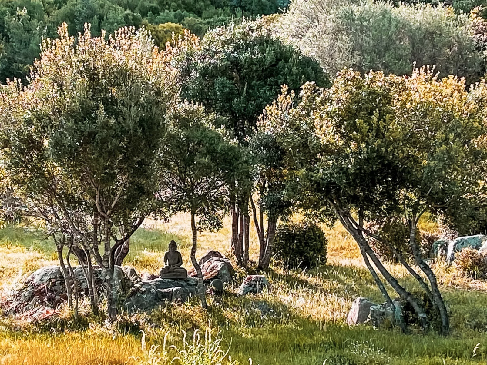 La Casetta Di Legno Nel Bosco - Buiten