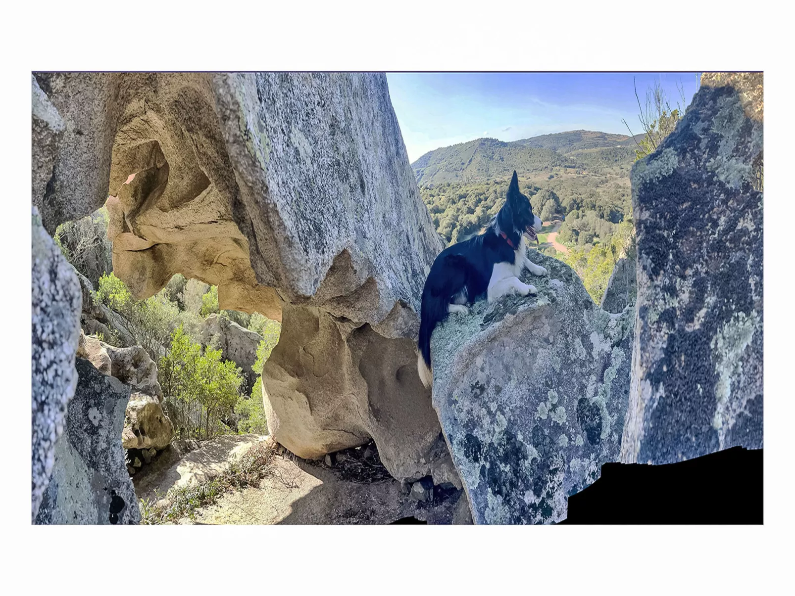 La Casetta Di Legno Nel Bosco - Binnen