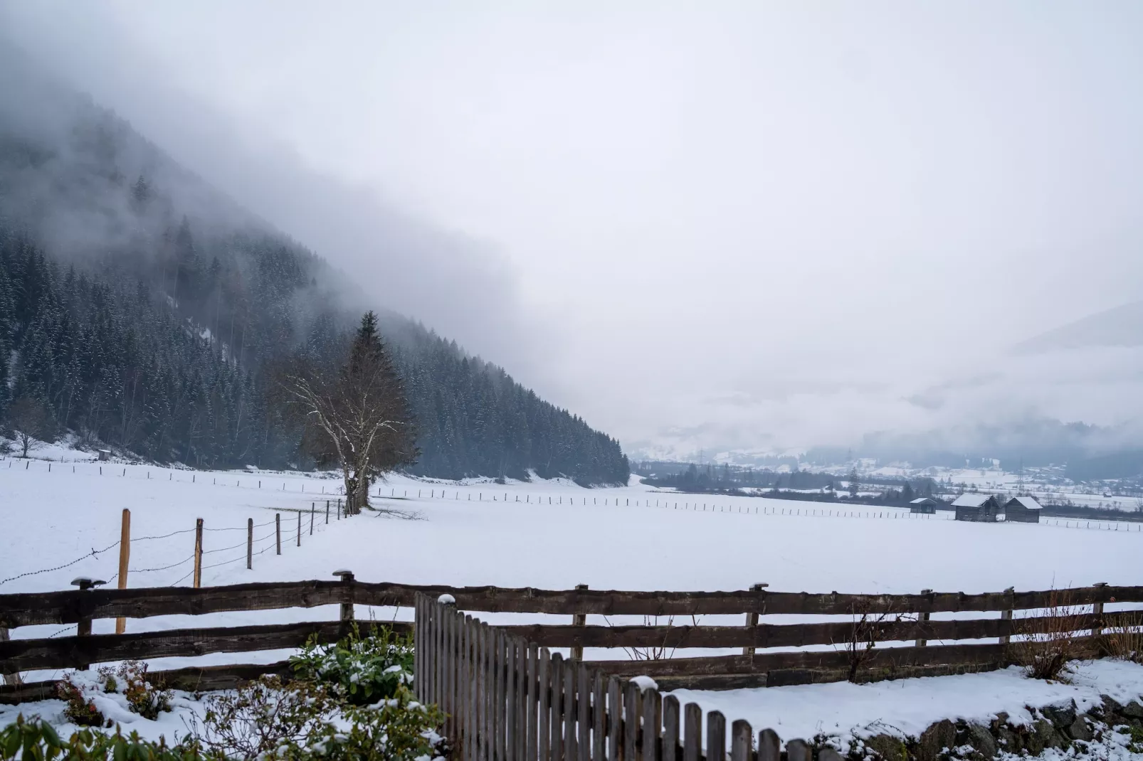 Apartment 1 / Hollersbach - Gebied winter 1km