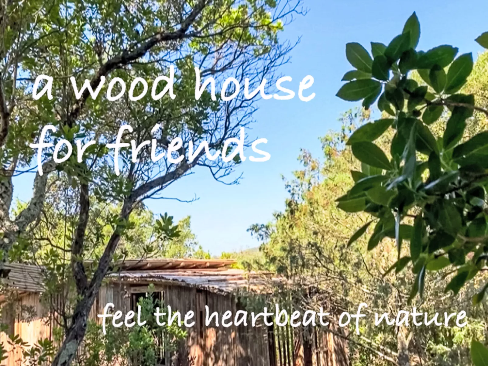 La Casetta Di Legno Nel Bosco - Buiten