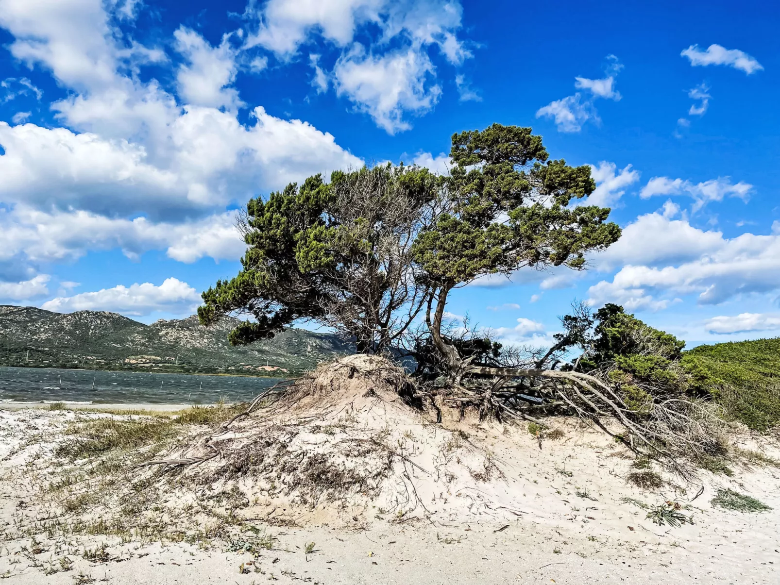 La Casetta Di Legno Nel Bosco - Binnen