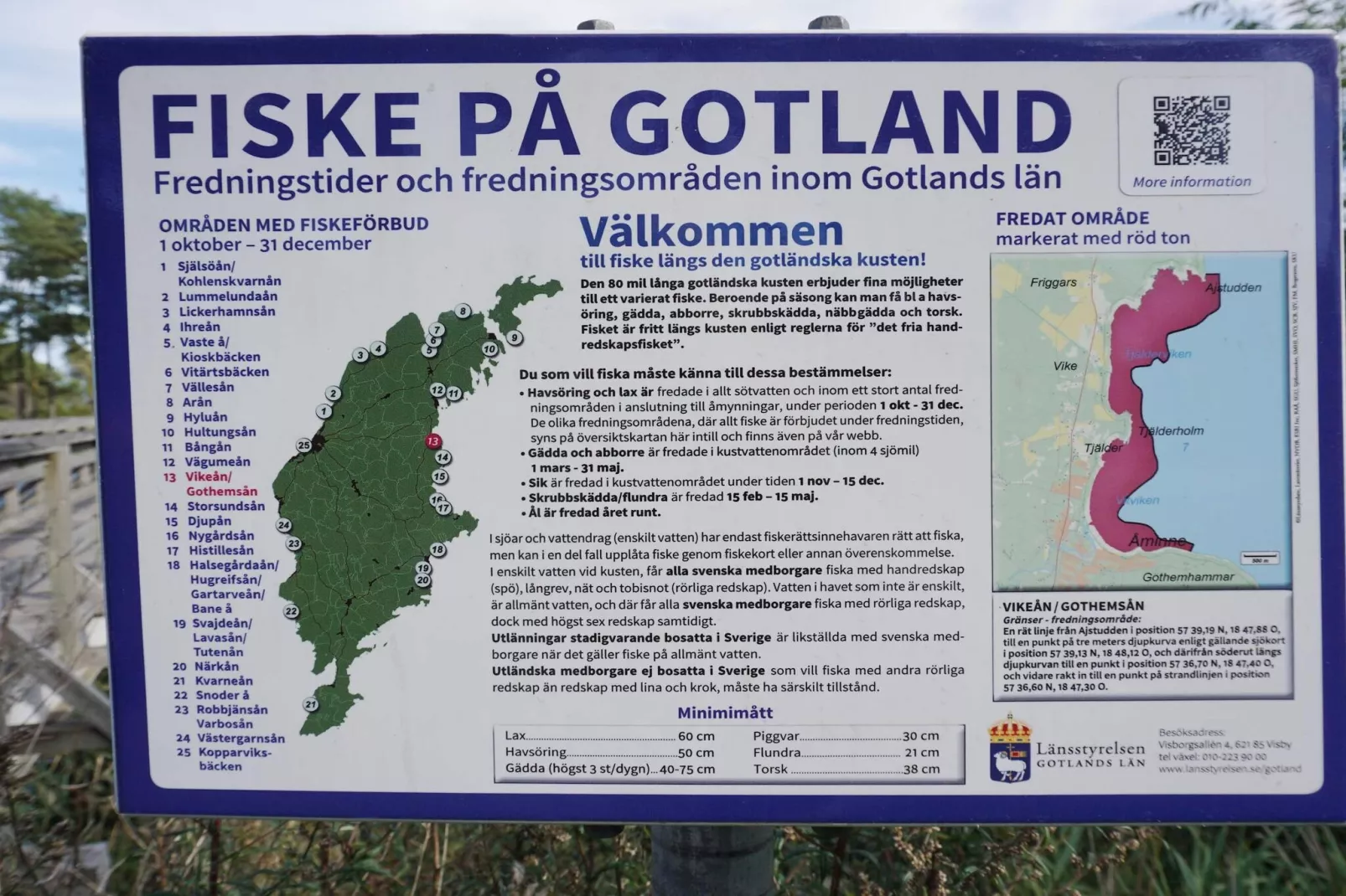 4 persoons vakantie huis in SLITE - Binnen