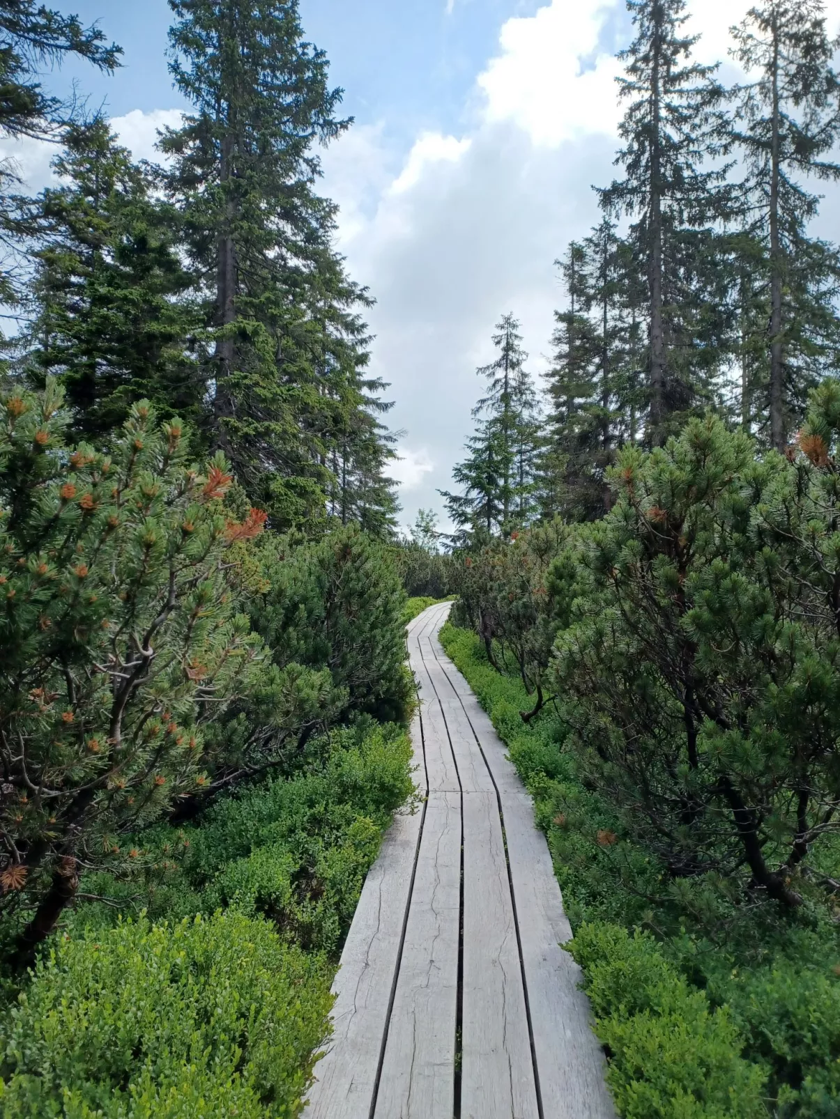 Holiday Hill 53 - Omgeving