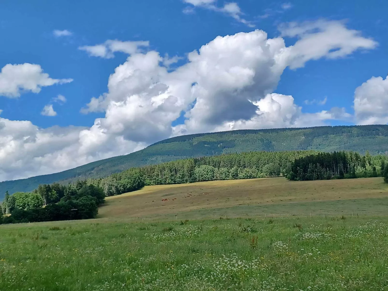 Holiday Hill 53 - Omgeving