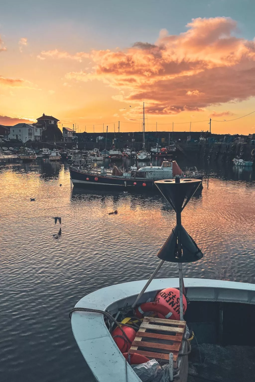 Dock of the bay - Omgeving