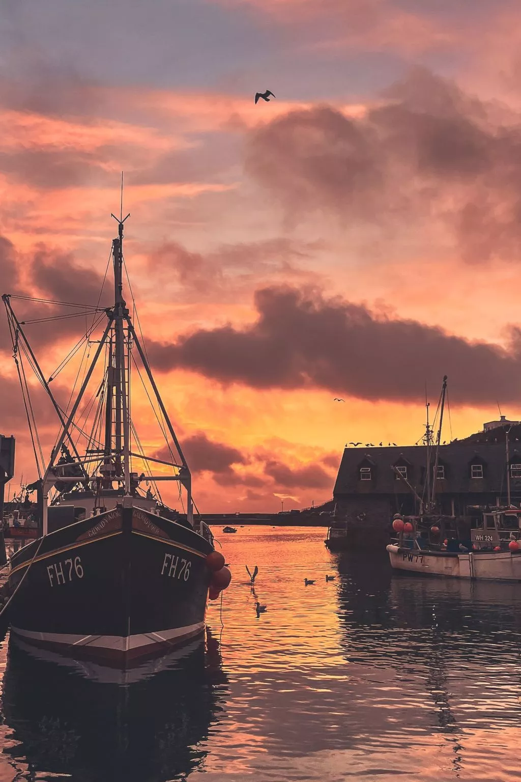 Dock of the bay - Omgeving