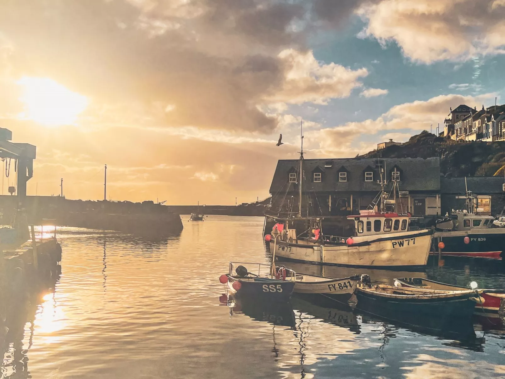 Dock of the bay - Omgeving