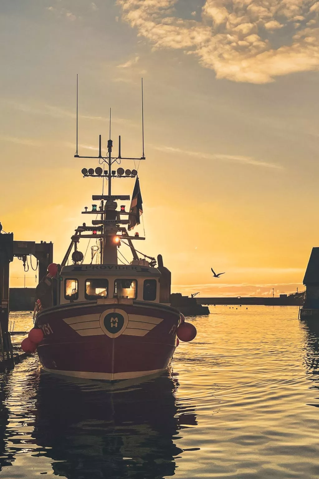 Dock of the bay - Omgeving