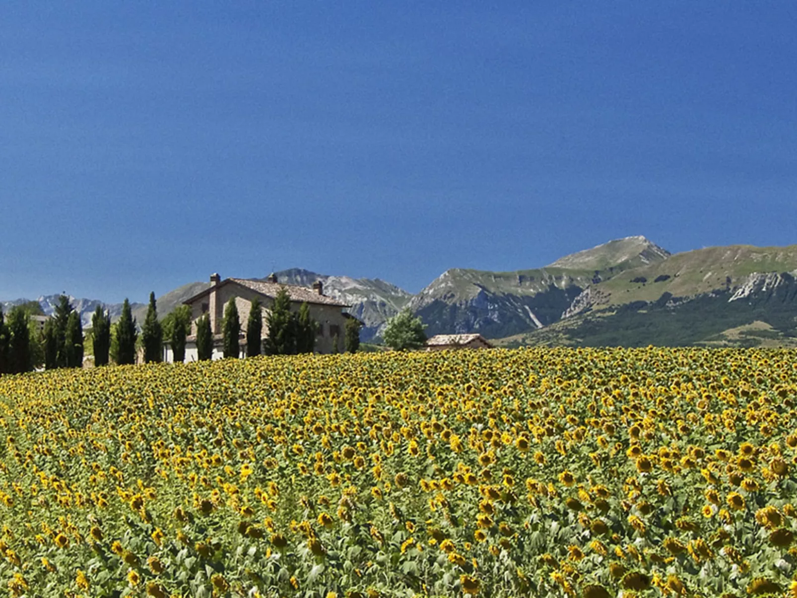 Il Casolare e il Fienile - Buiten