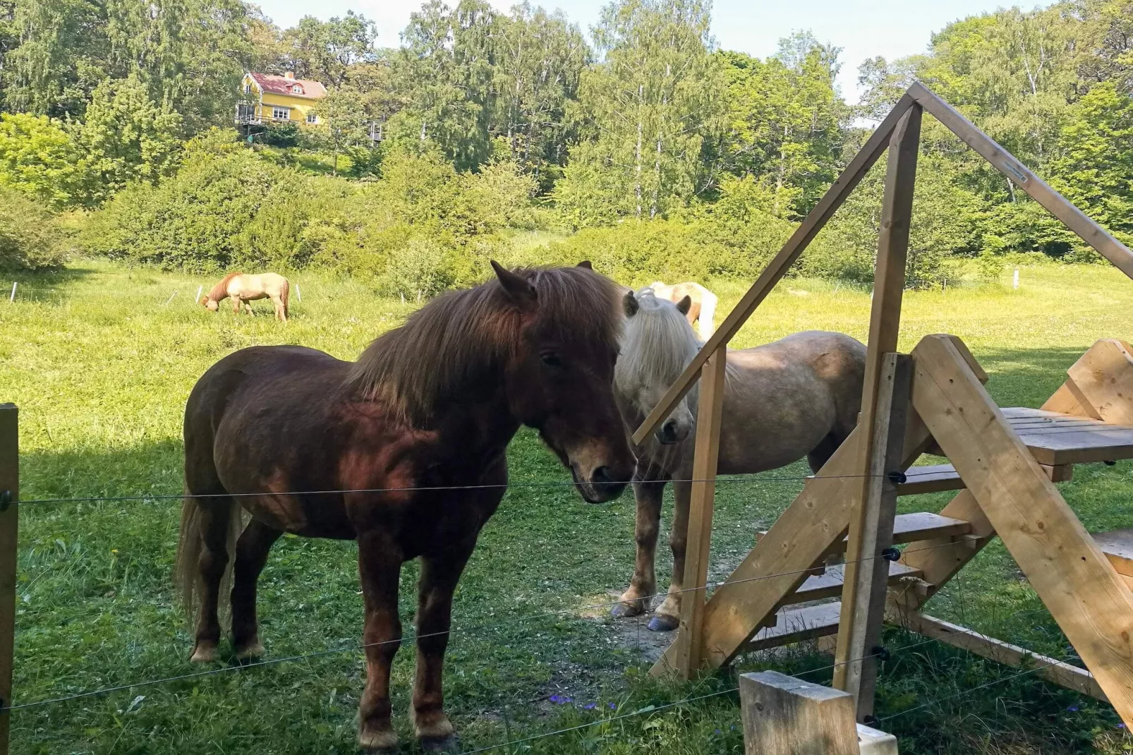 4 sterren vakantie huis in INGARÖ - Niet-getagd
