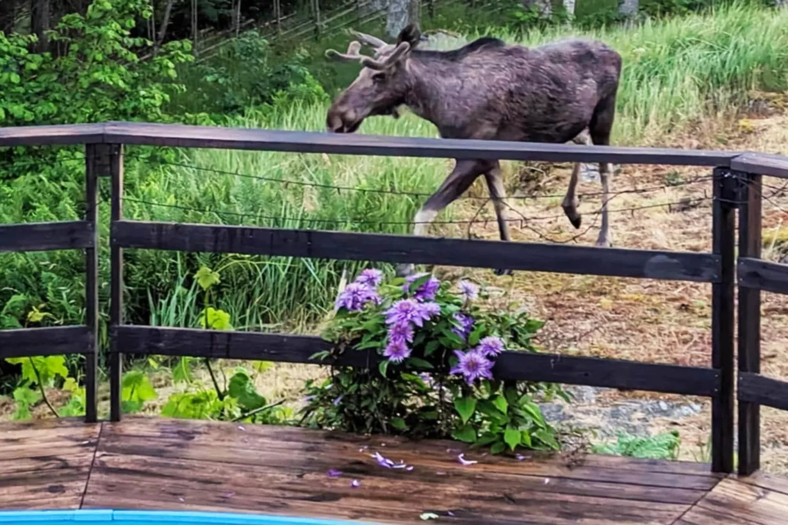 4 sterren vakantie huis in INGARÖ - Niet-getagd