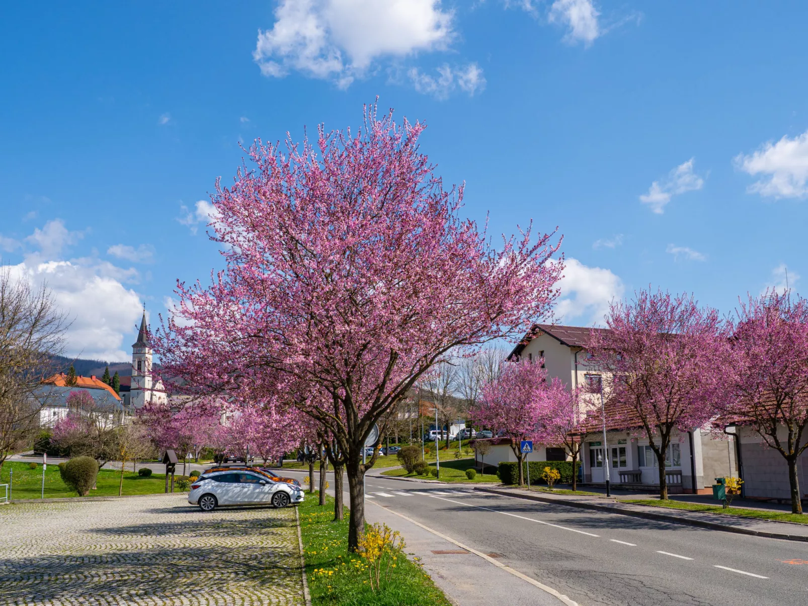House Veles - Omgeving