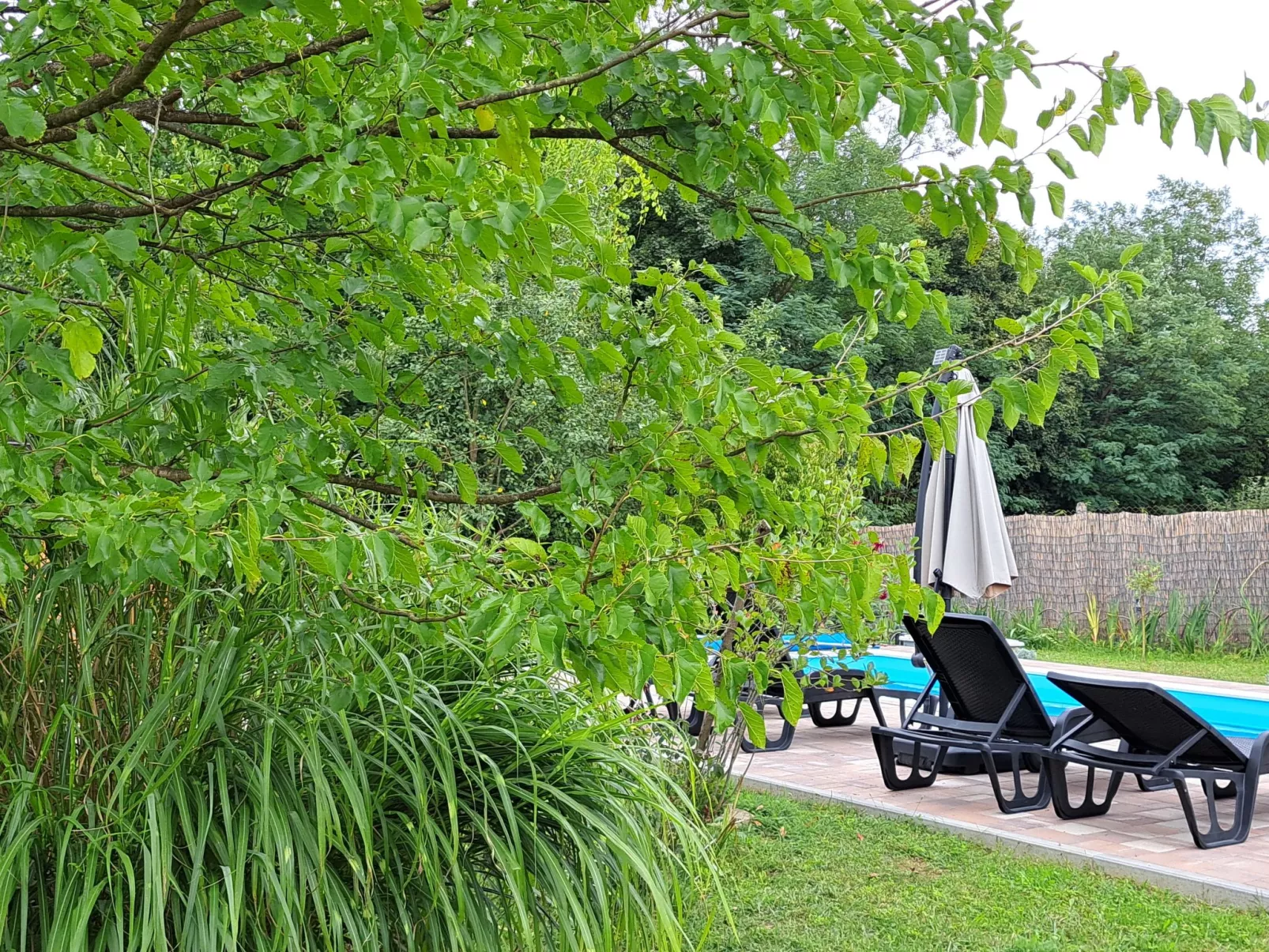 House Mirna Zagorka - Buiten