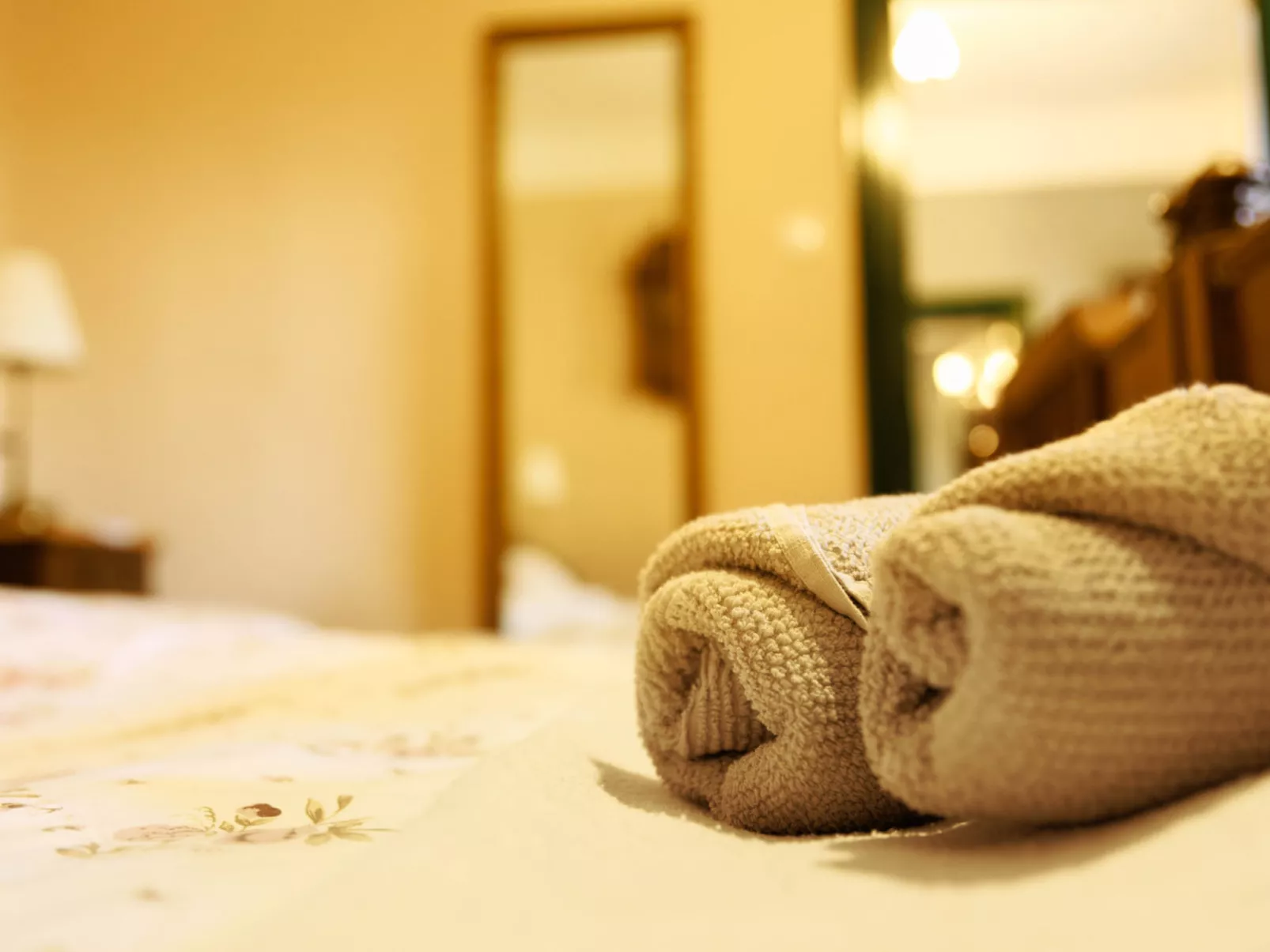 House Biljkinog oca - Binnen