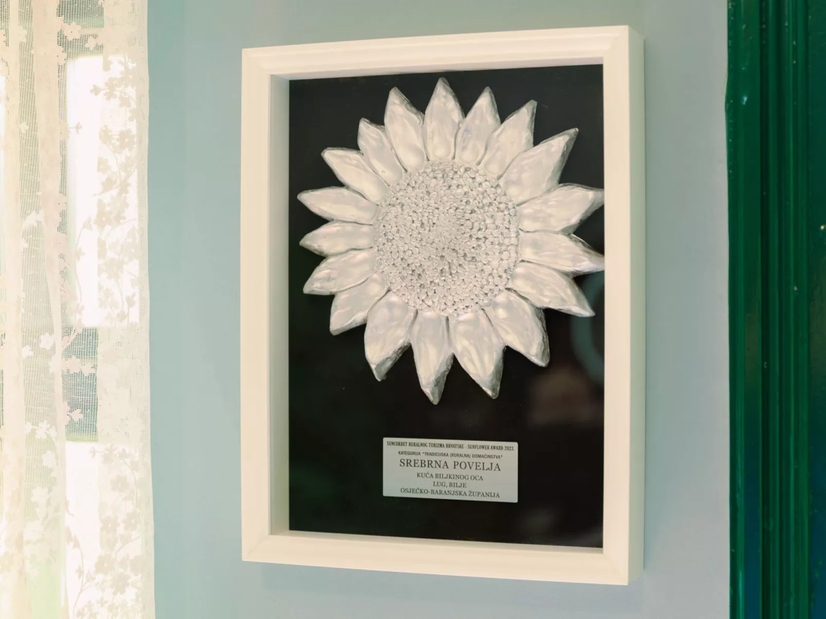 House Biljkinog oca - Buiten