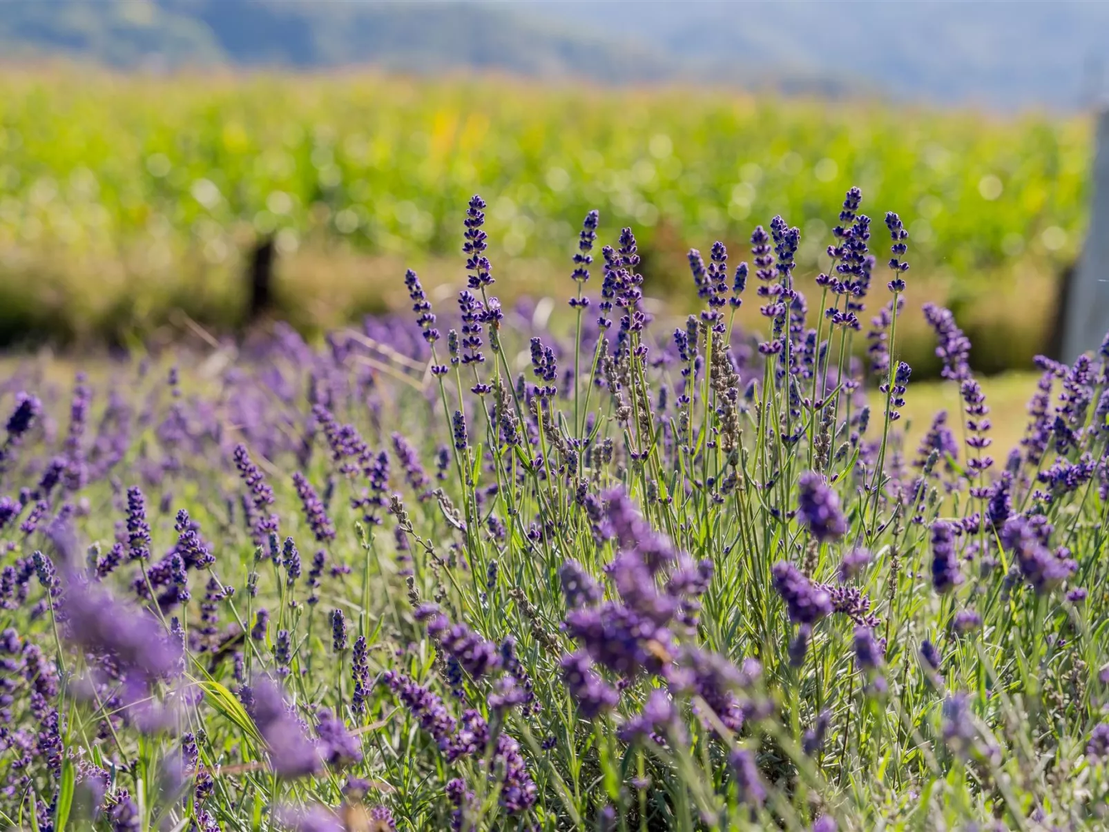 Holiday house Val - Buiten