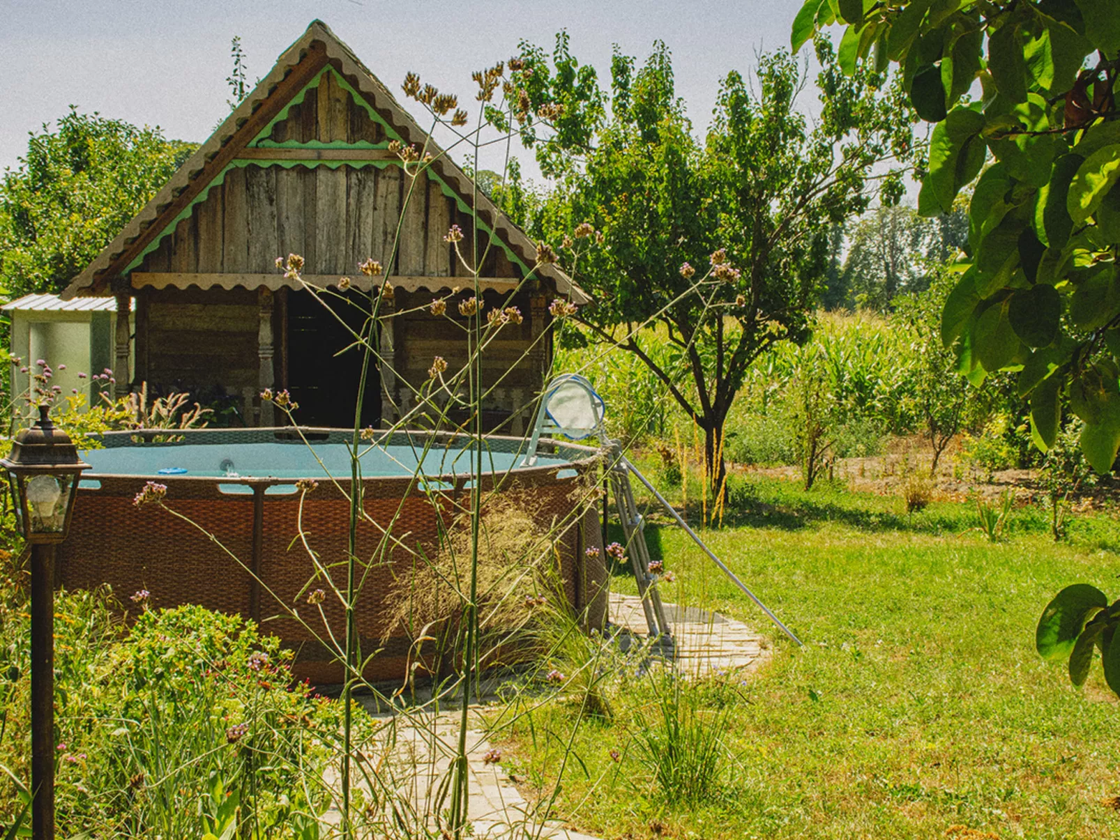 House Biljkinog oca - Buiten