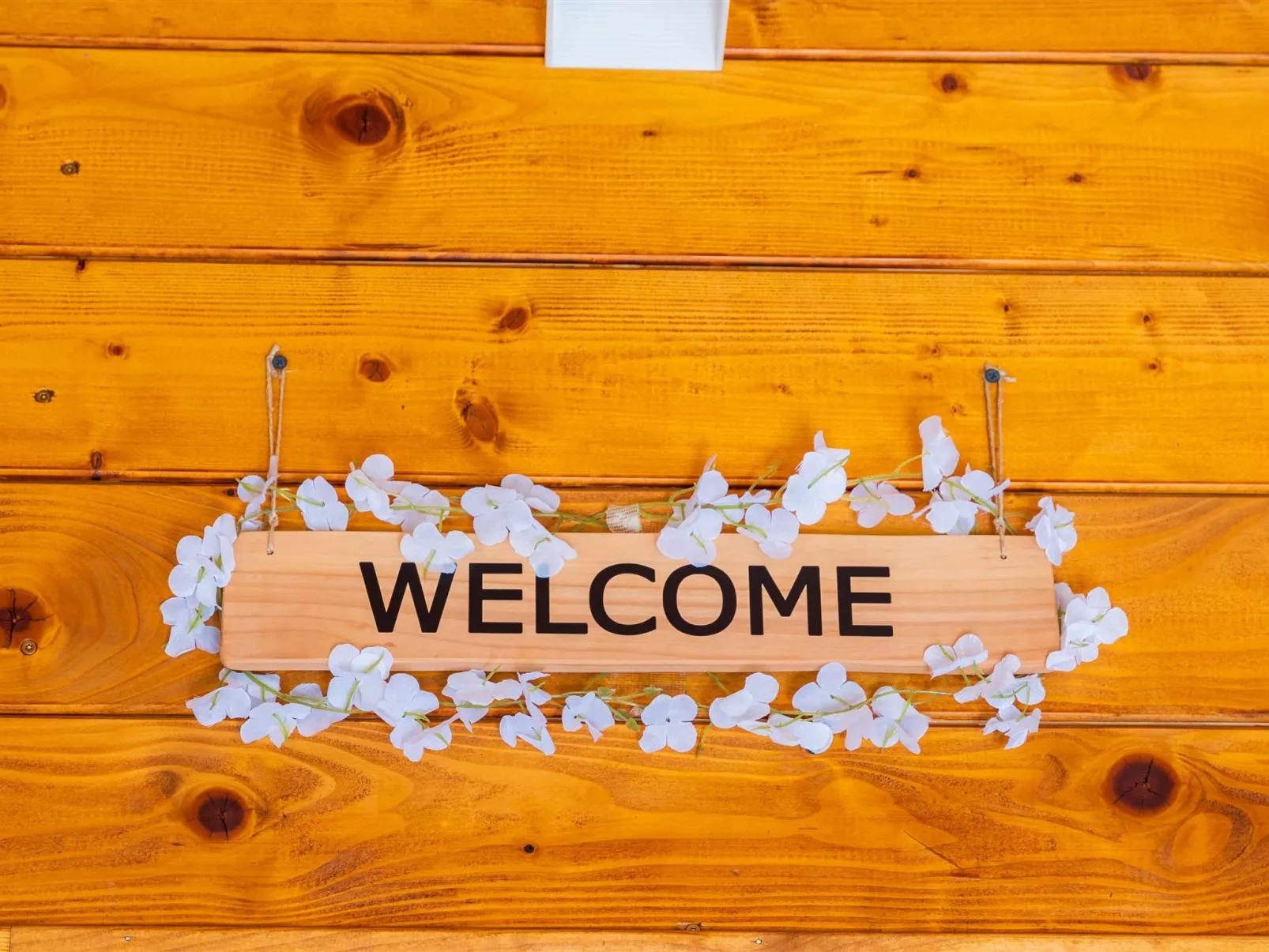 House Šumska idila - Buiten