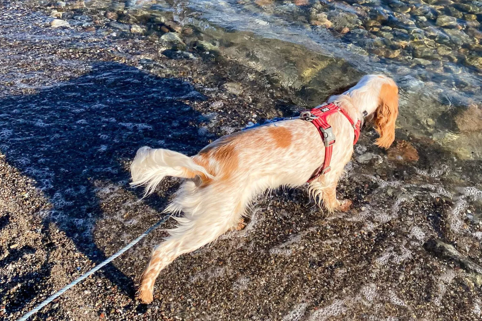 6 persoons vakantie huis in Sydals-By Traum - Buitenlucht