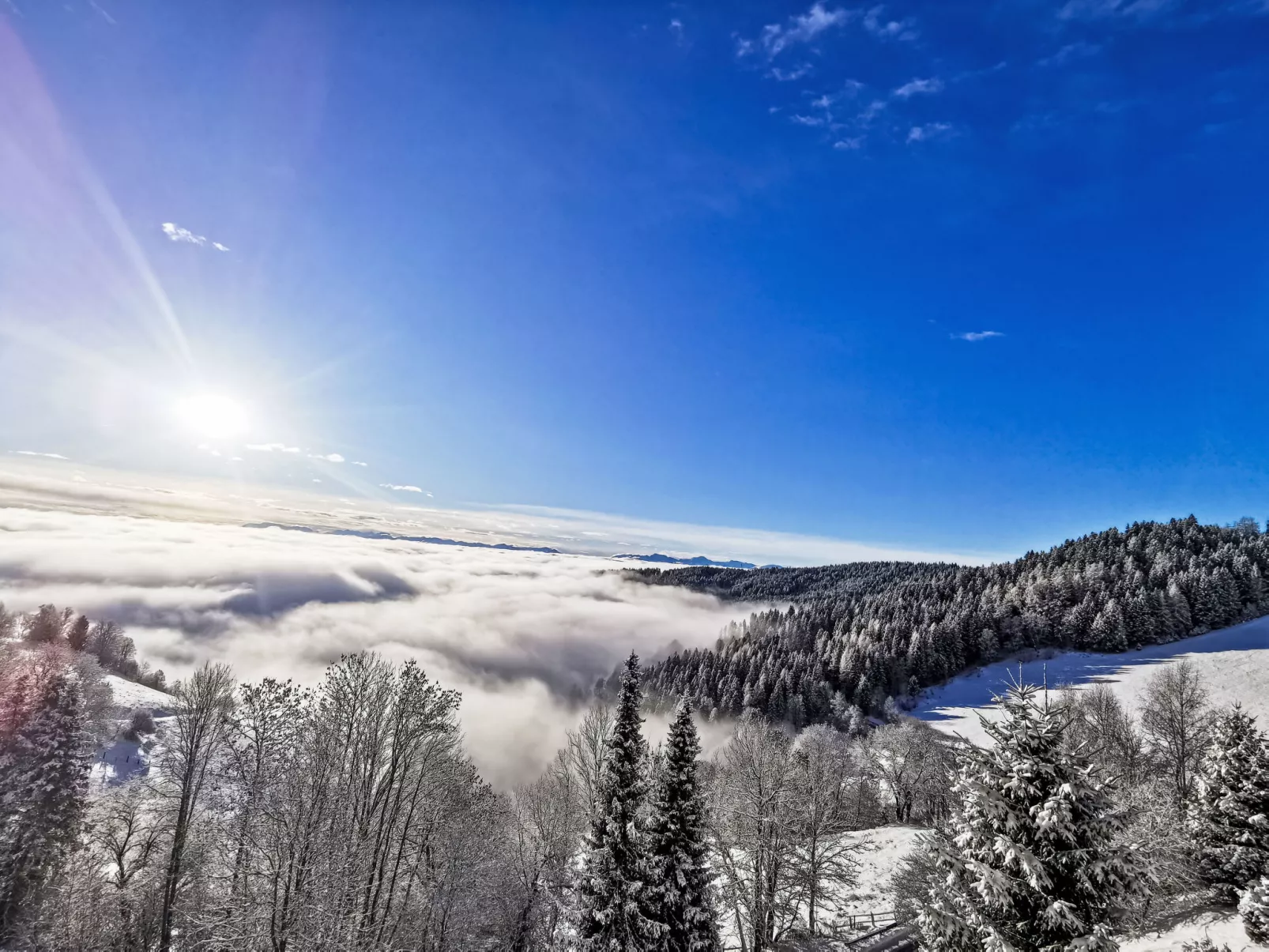 Urban & Florian - Buiten