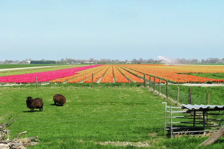 Op vakantie bij de boer
