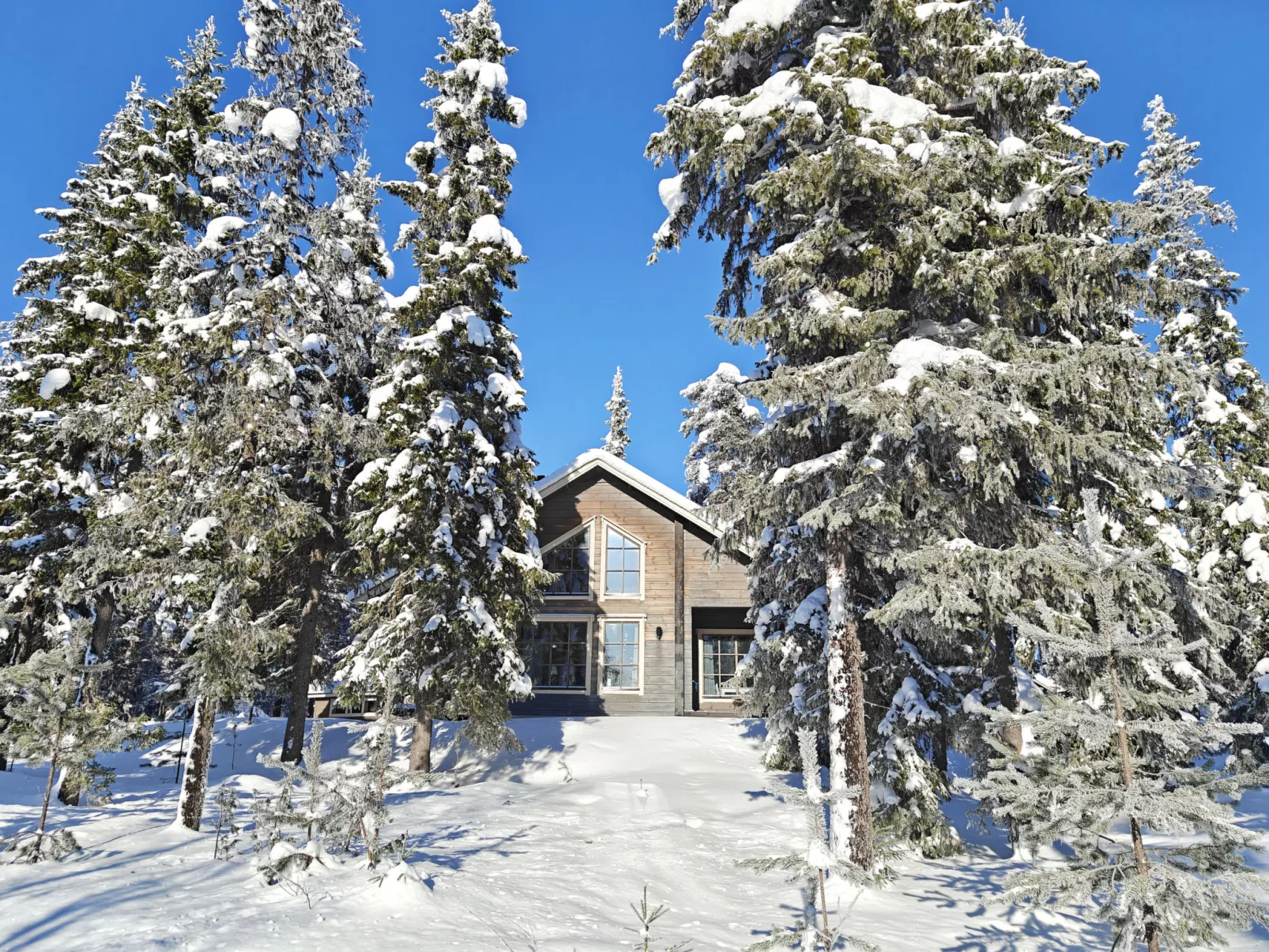 Ihtingin koskikara - Binnen