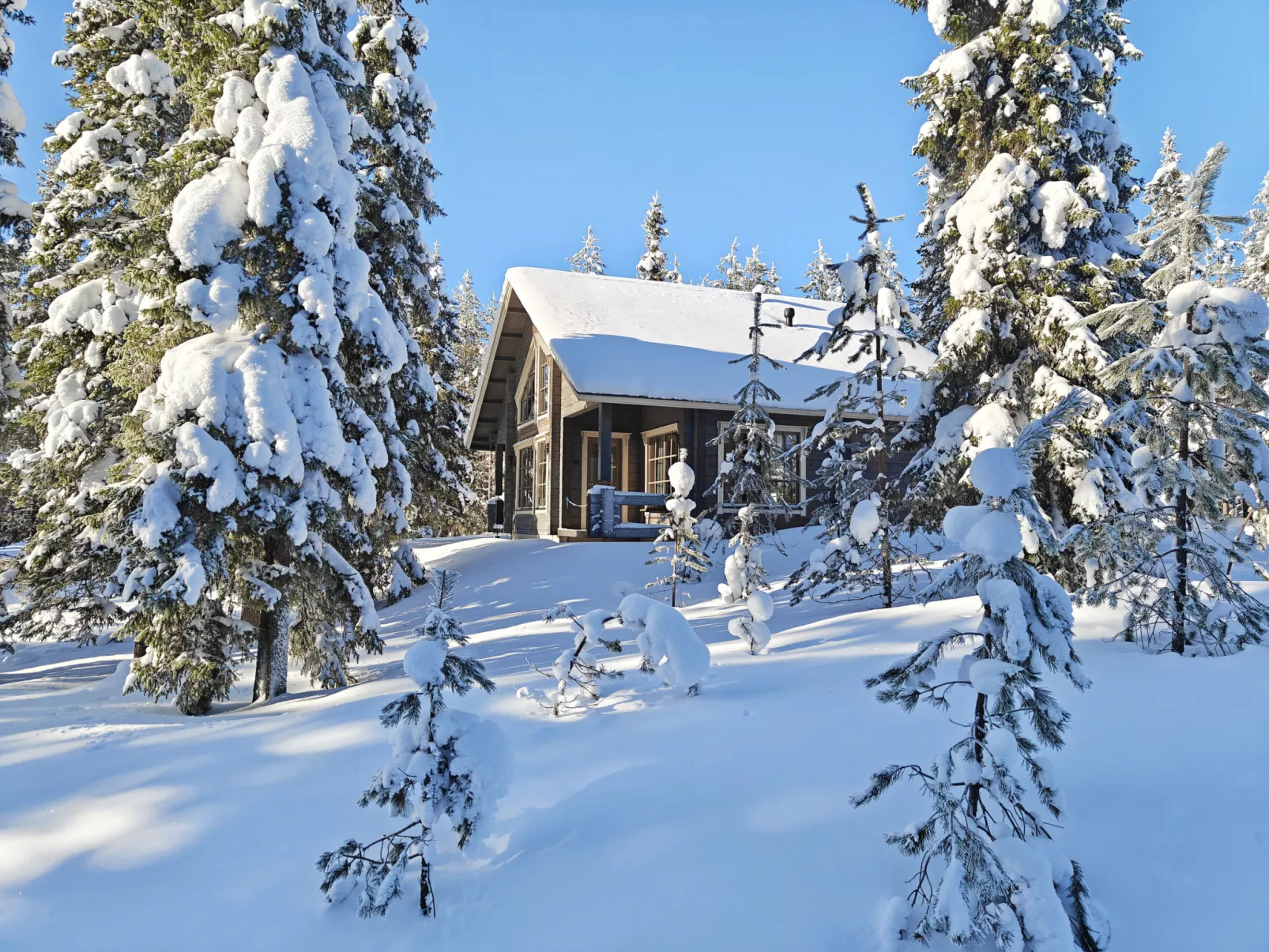 Ihtingin koskikara - Binnen