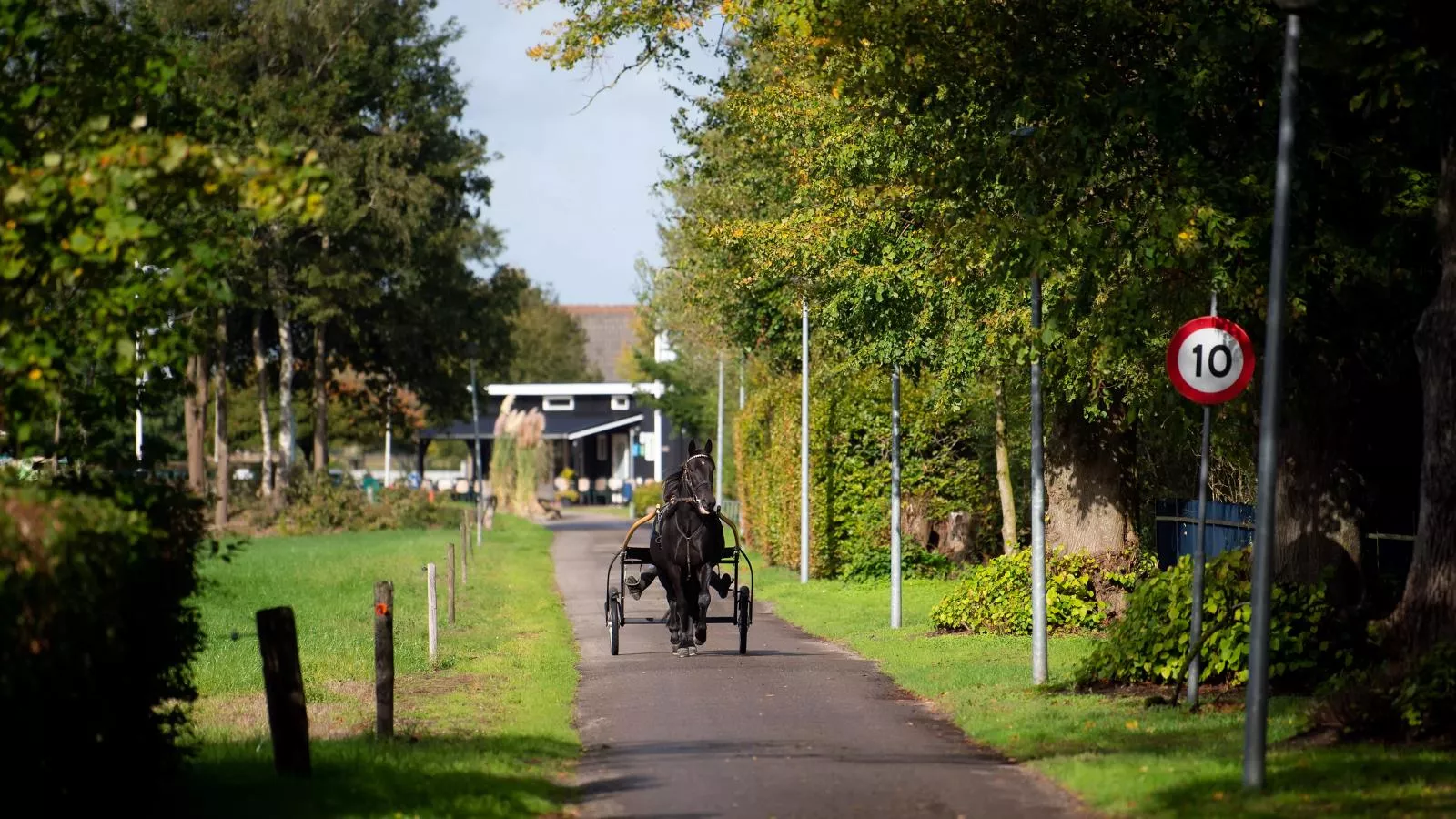 Aekinger Lodge - Gebieden zomer 1km