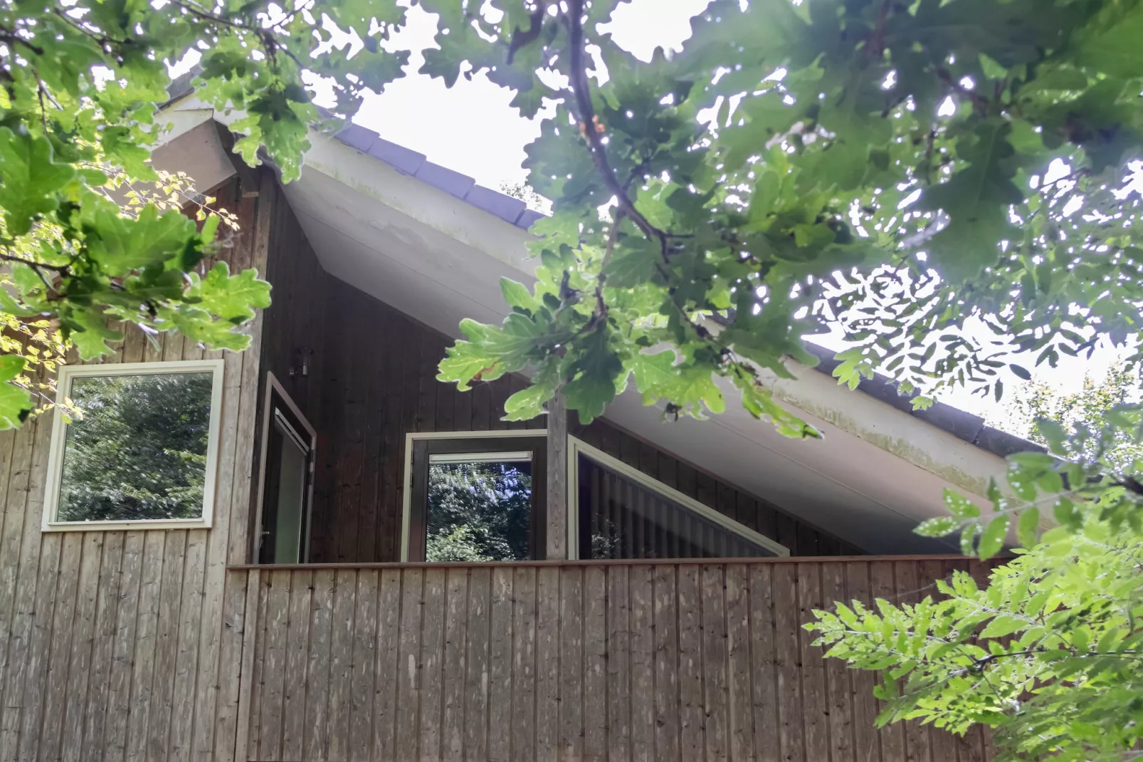 Huis in de Bossen - Buitenkant zomer