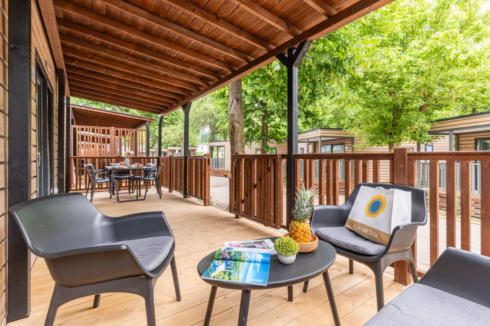 Caldonazzo Family Collection - LODGE SUPERIOR max occ 4 adults  1 child 999 - Terrasbalkon