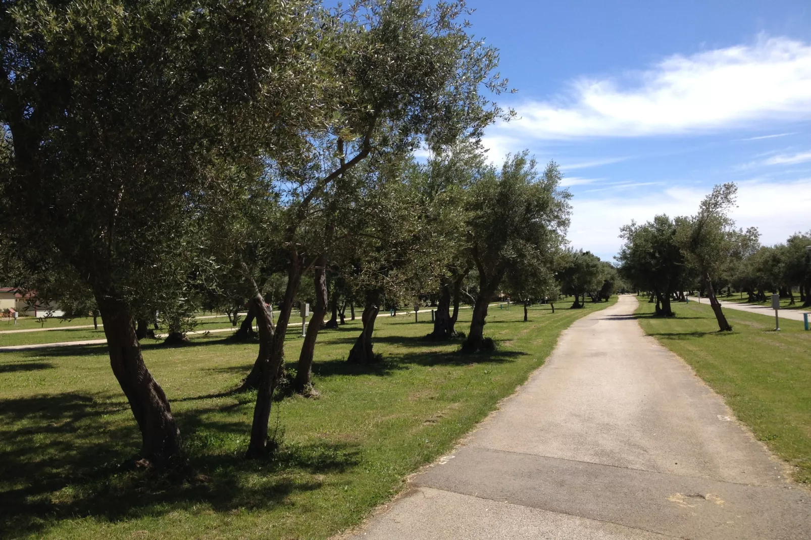 Camping Oliva / STANDARD mobile home MO85 - Tuinen zomer