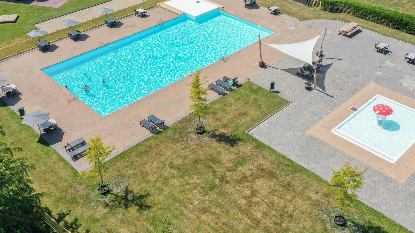 Safarilodge l 4 pers - Zwembad