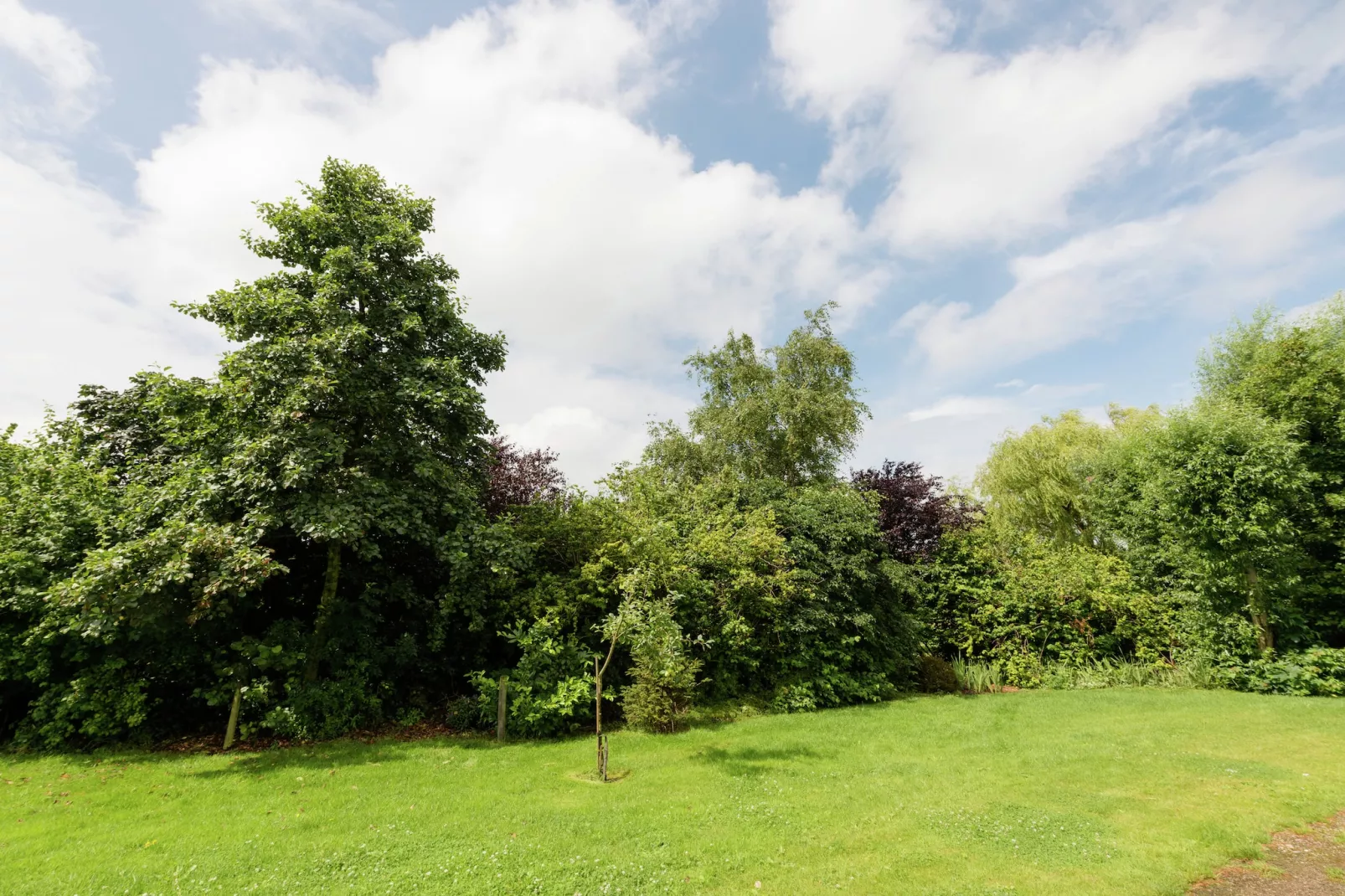 Op vakantie bij de boer - Tuinen zomer