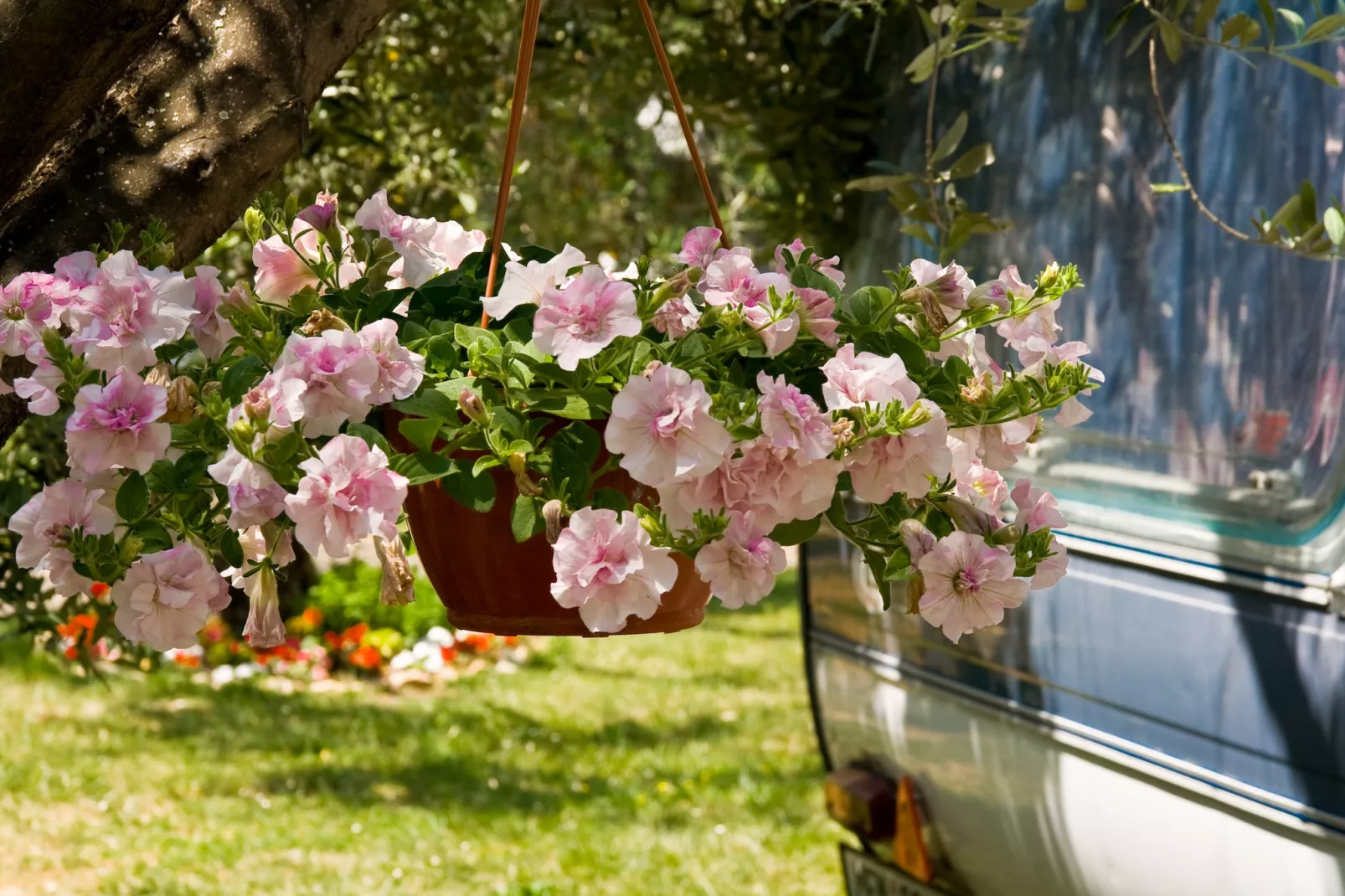 Camping Oliva / COMFORT mobile home COM - Sfeer