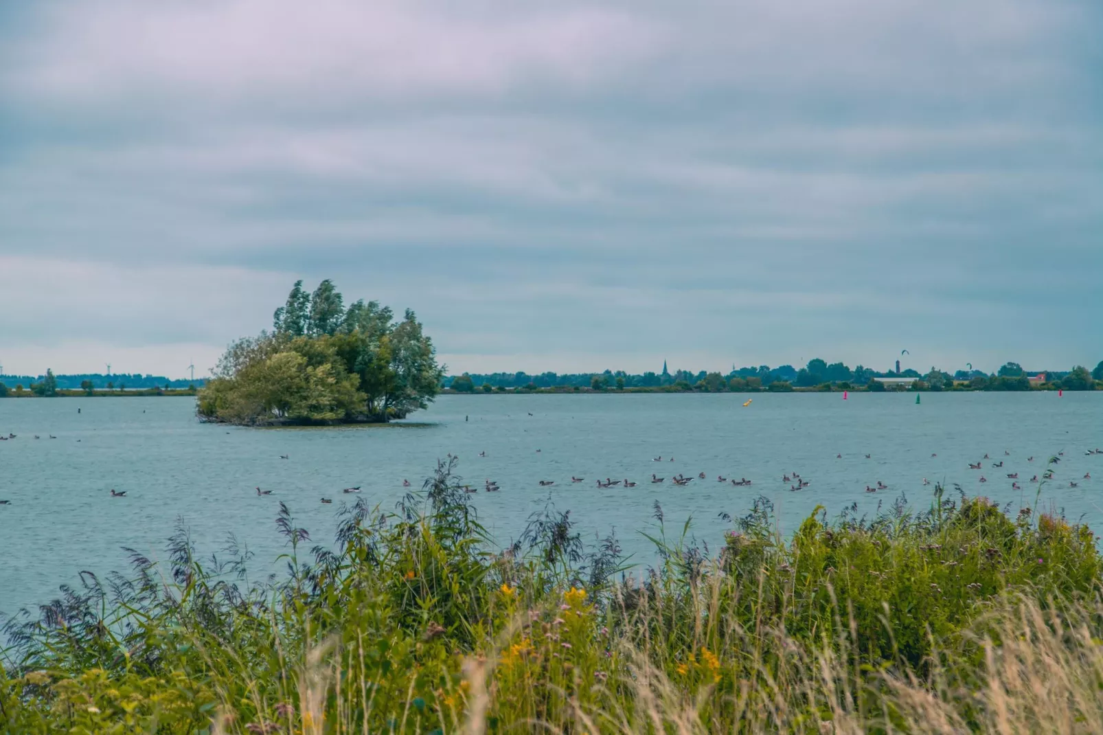 Watervilla Sauna 6 - Gebieden zomer 1km