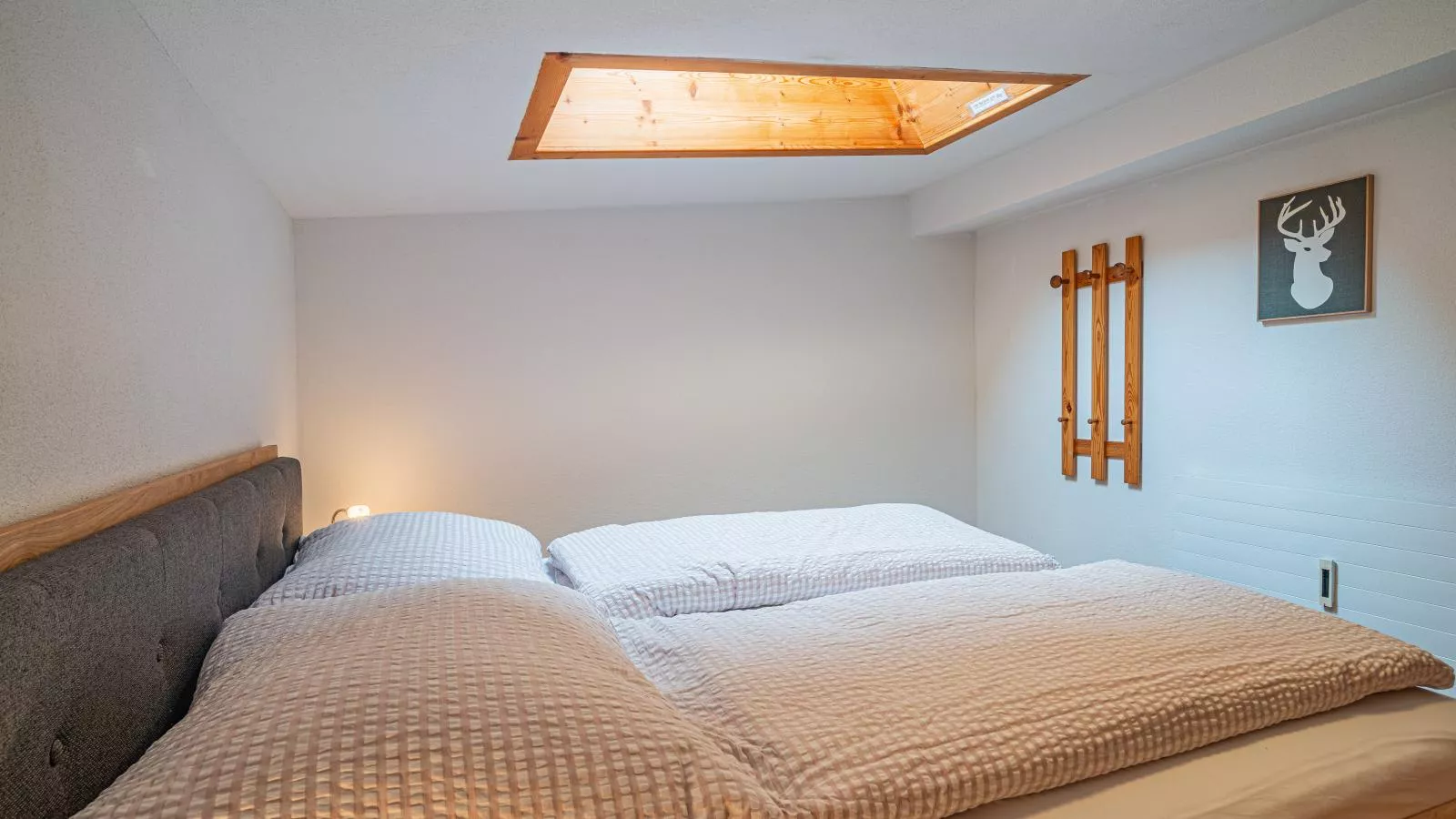 Das Bergnest Salvenblick