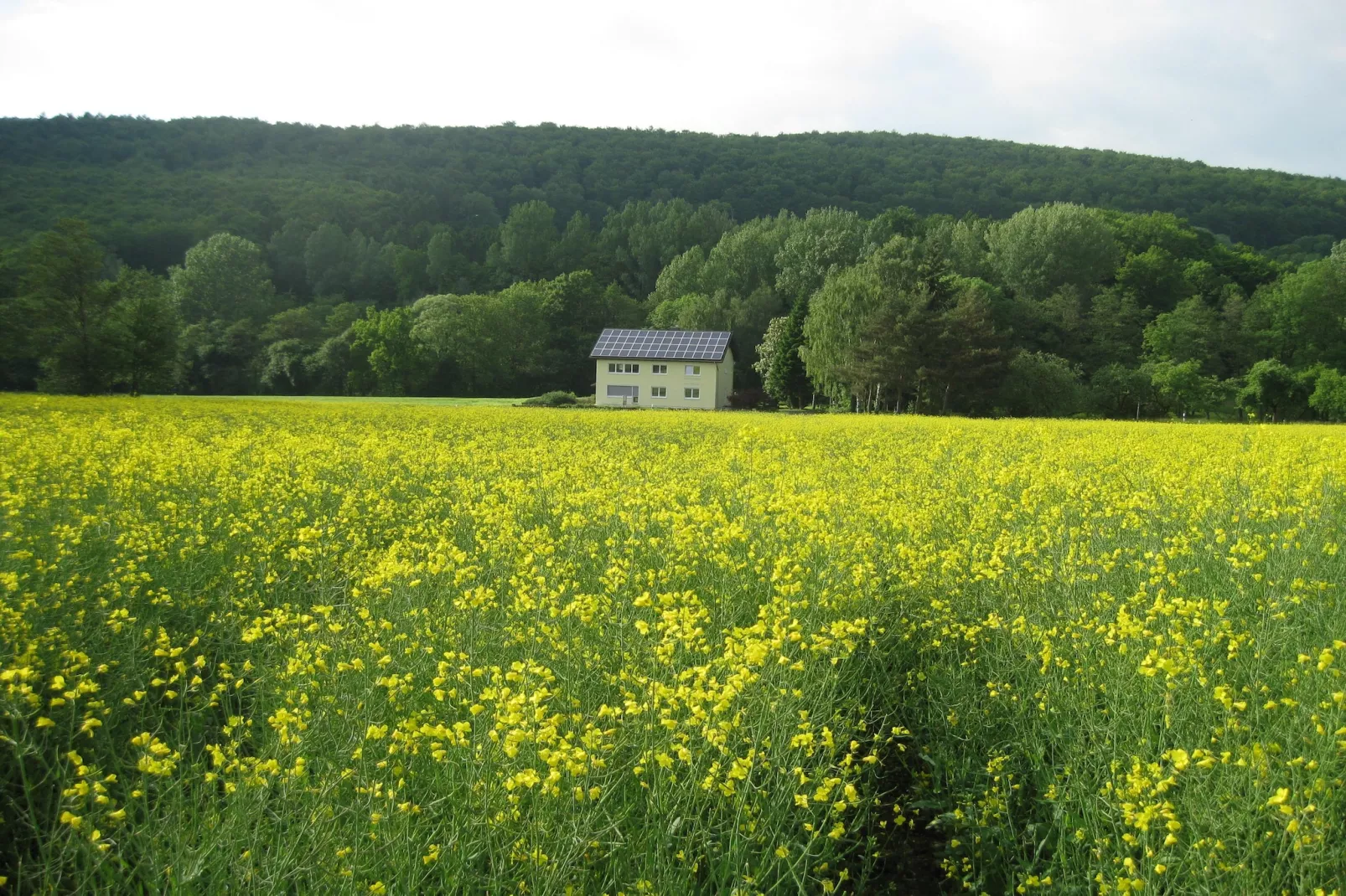 Gästehaus Kühne Fewo 2 DG & Fewo 1 OG