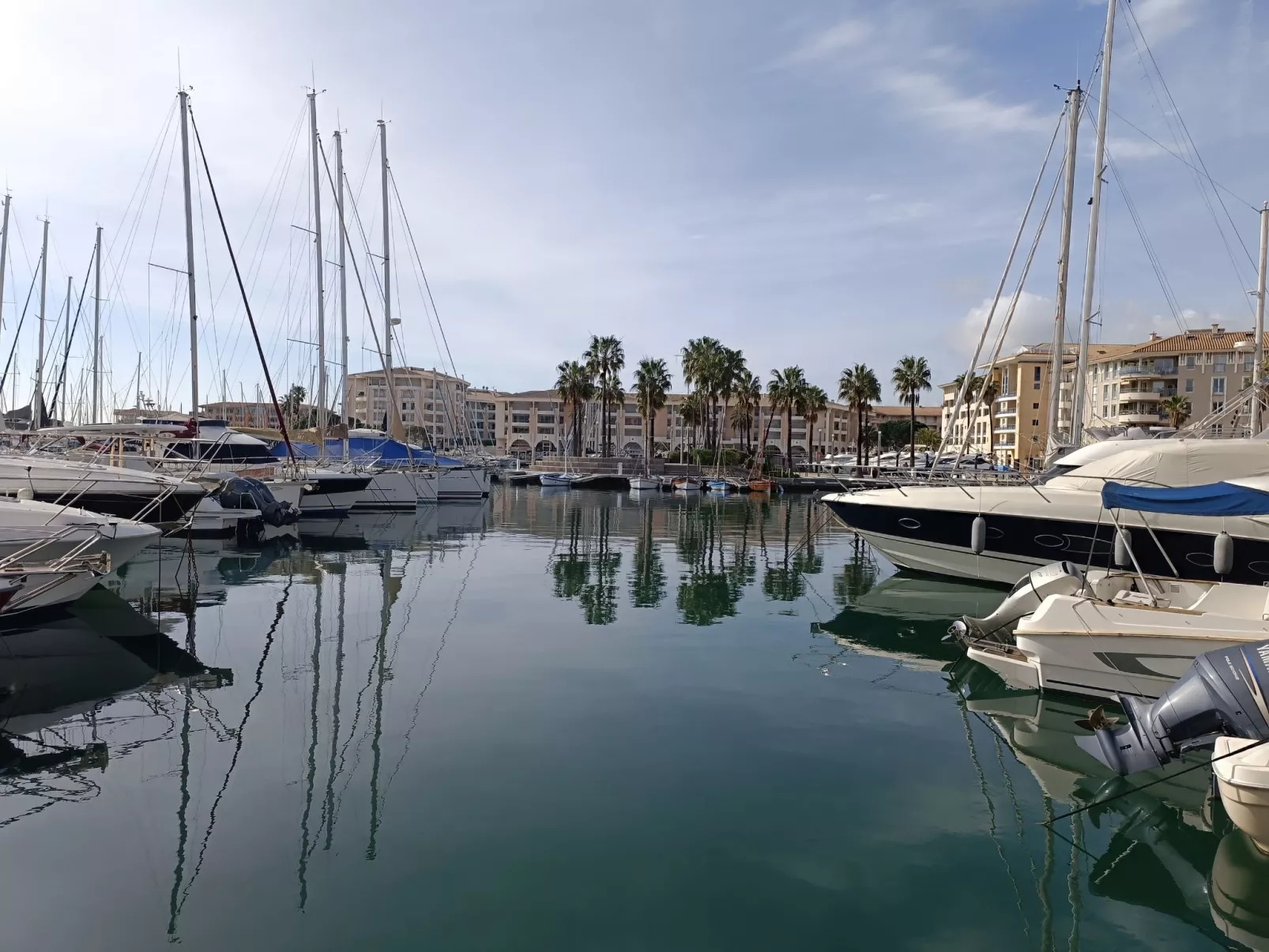 Le Newport - Omgeving