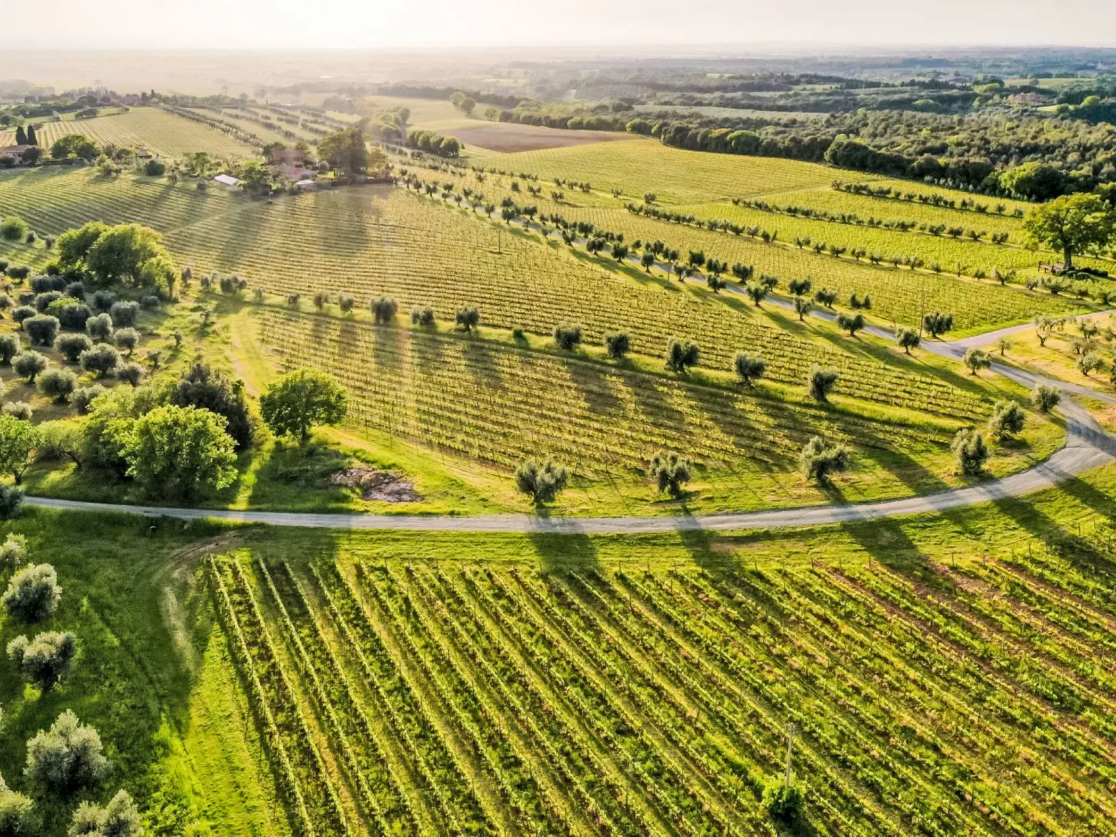 Casale Bolgherese - Buiten
