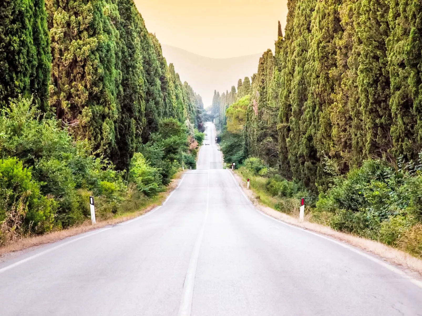 Casale Bolgherese - Buiten