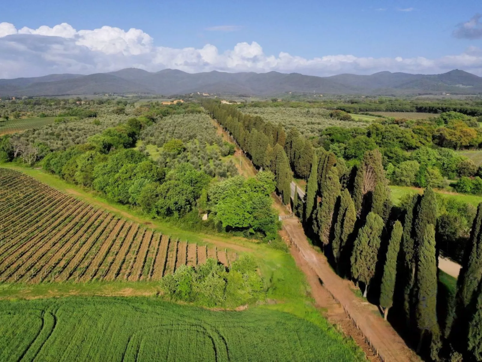 Casale Bolgherese - Buiten