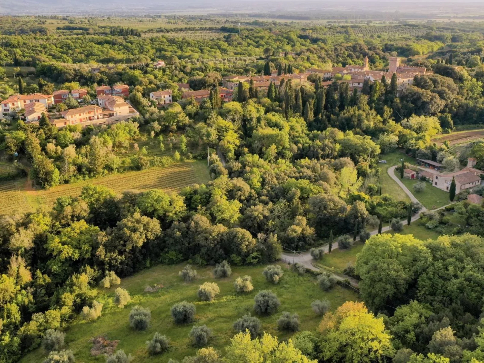 Casale Bolgherese - Buiten