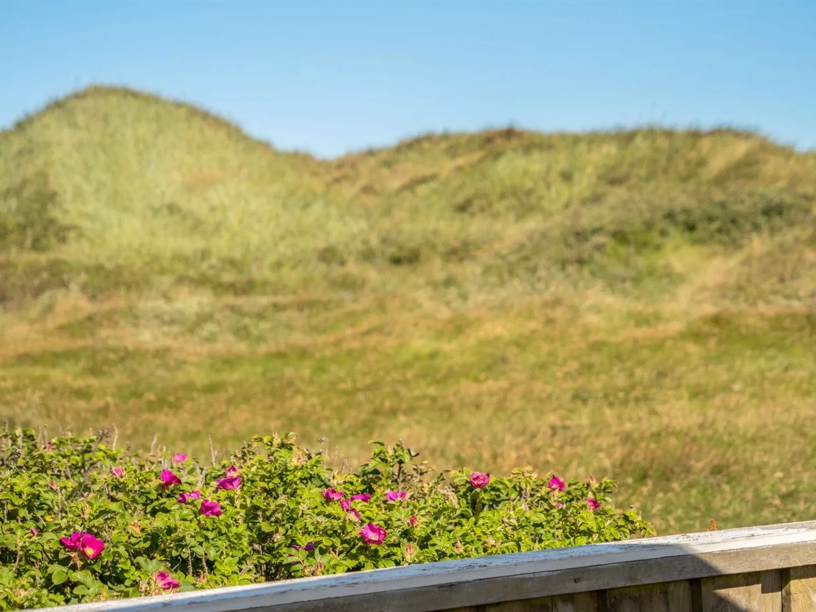 "Valpuri" - 150m from the sea - Buiten