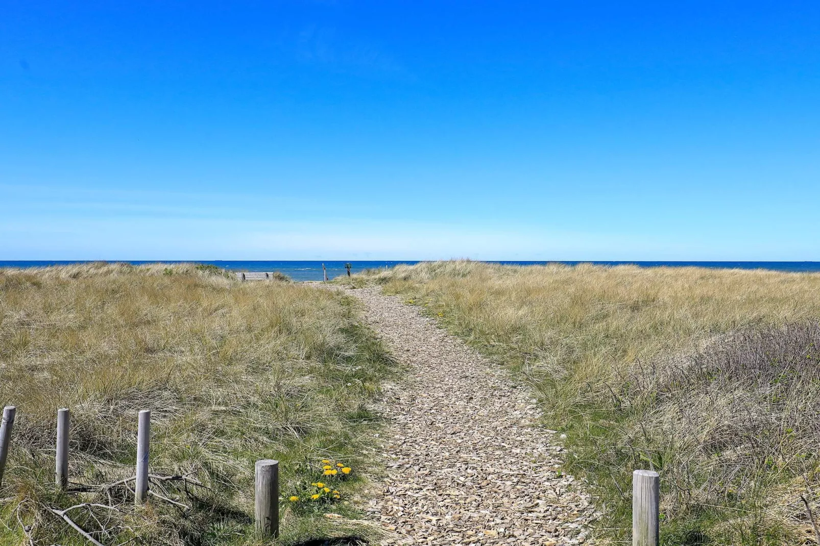 Kustparadijs in Lonstrup-By Traum - Waterzicht