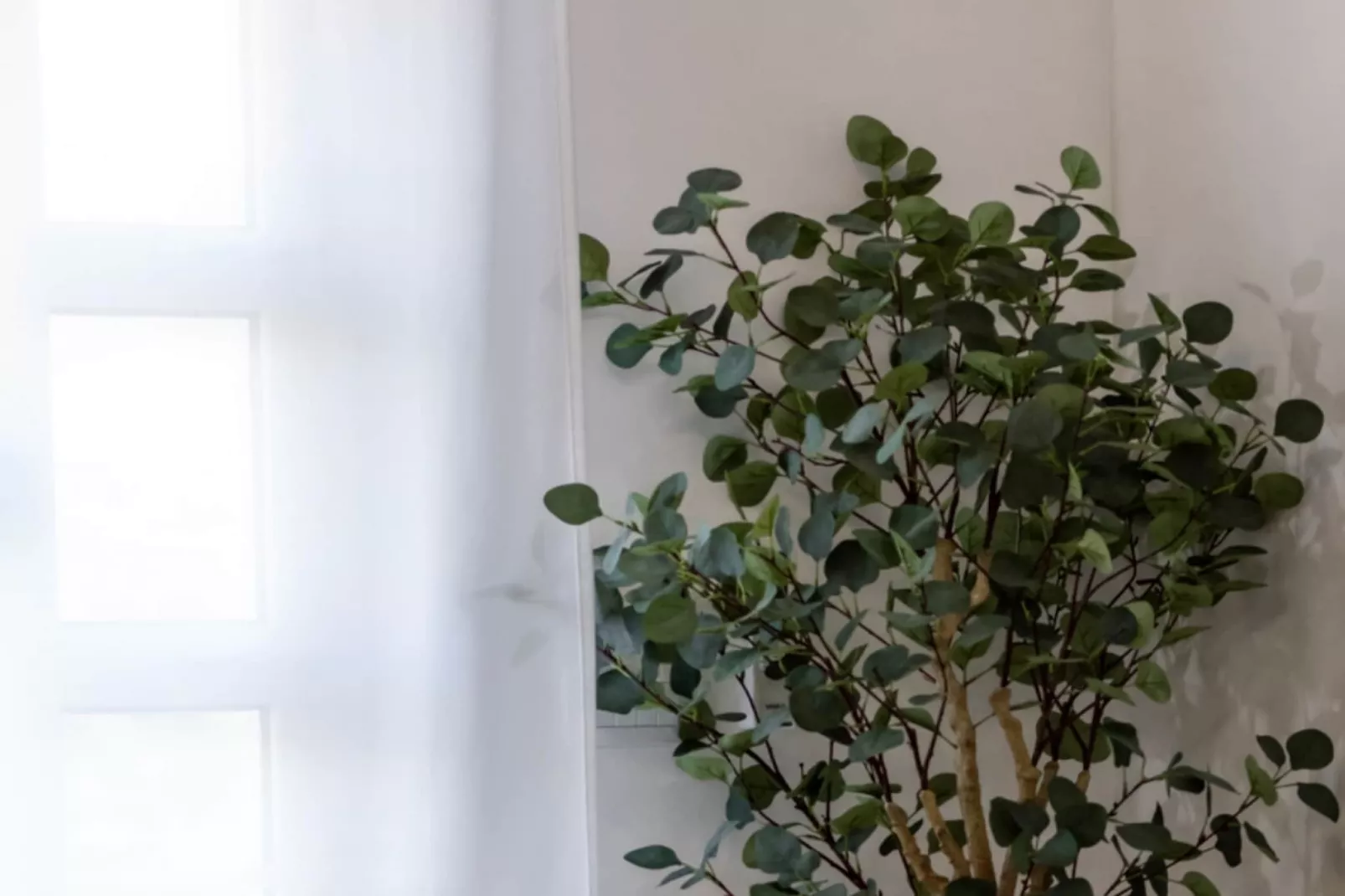 Villa Eden Dubrovnik - Six Bedroom Villa - Buitenlucht