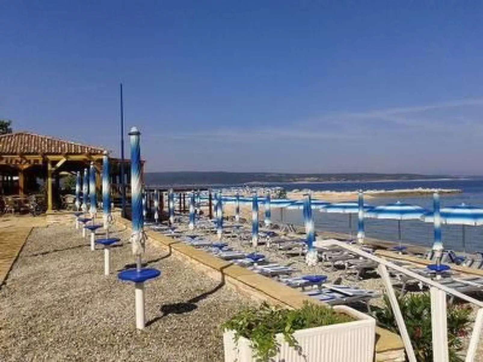 Ivanka1 - Image-tags.info